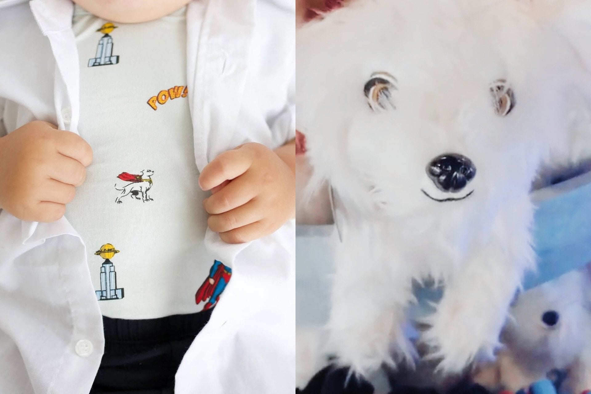 Krypto: DCU'nun Bebek Yoda gibi sevimli altın madeni 2 Krypto Kyte Baby, WB Mağazası (1)