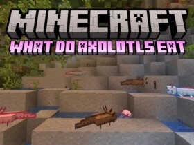 Axolotls กินอะไรใน Minecraft: คู่มือฉบับสมบูรณ์ 11 Axolotls กินอะไรใน Minecraft: คู่มือฉบับสมบูรณ์